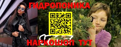 молекула духа Шахты